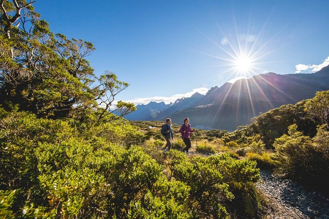 Routeburn Track Day Hike From Queenstown (Privately Guided) - Benefits of a Private Guided Hike