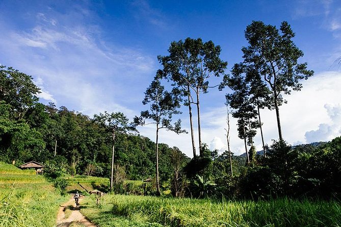 Rural Explorer Mountain Biking Tour Chiang Mai - Included in the Experience