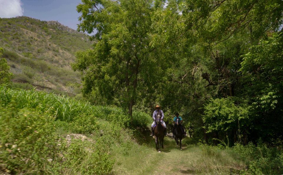 Rural Trail On Marwari Horseback At Private Ranch in 12Acres - Ranch Location and Features