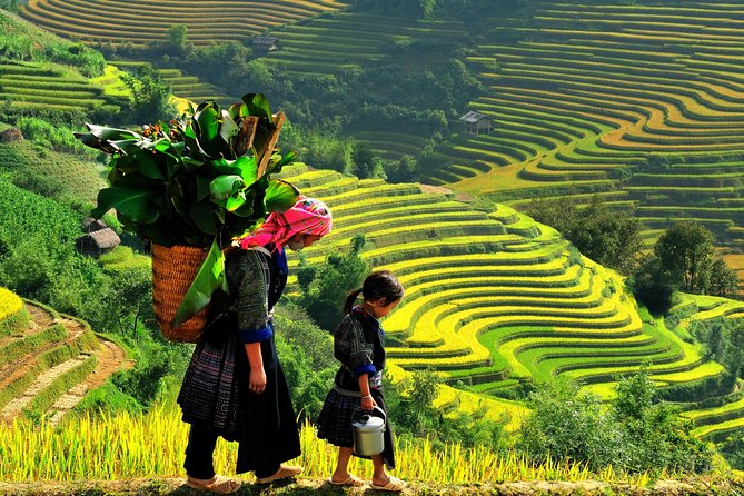 Sa Pa 2-Day Moderate Trek and Homestay Limousine Tour From Hanoi - Included Features