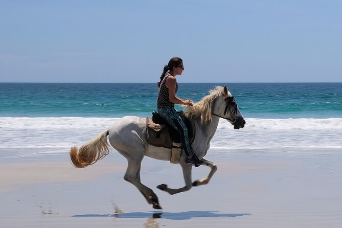 Safari & Barigona Beach on Horseback - Inclusions and Amenities