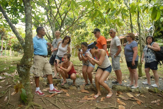 Safari Tour From Punta Cana - Transportation Details