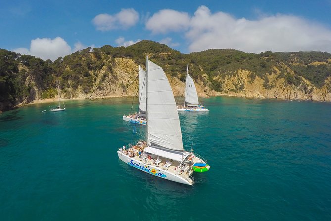Sailing Along the Costa Brava in a Large Catamaran With a Buffet Barbecue and Bathing Inlet. Drinks Are Included. - Inclusions and Amenities