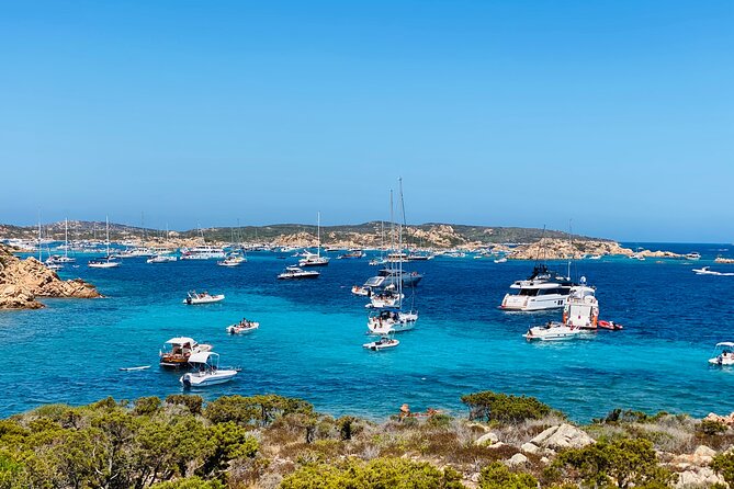 Sailing Cruise in Maddalena Archipelago From Maddalena - Highlights of Maddalena Archipelago