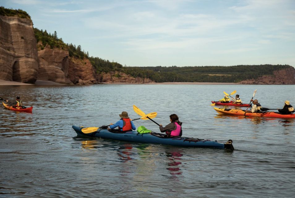 Saint John: Bay of Fundy Guided Kayaking Tour With Snack - Exploring Sea Caves and Wildlife