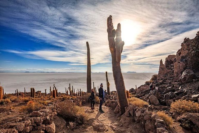 Salar De Uyuni (1 Day) - Spanish Speaking Guide - Pricing and Availability