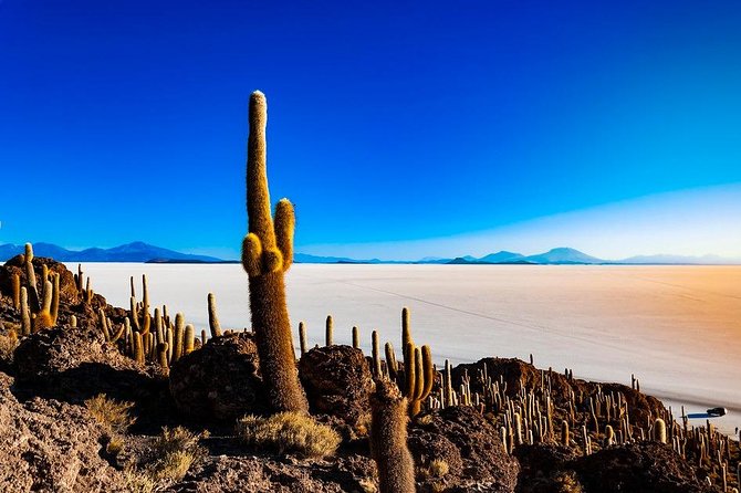 Salar De Uyuni (3 Days) Spanish Speaking Guide - Inclusions and Amenities