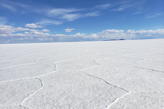 Salar De Uyuni Tours 1 Day - Tour Inclusions and Amenities