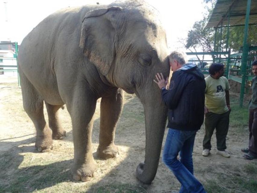 Same Day Tajmahal Tour With SOS Elephant/Bear Sanctuary - Itinerary Highlights