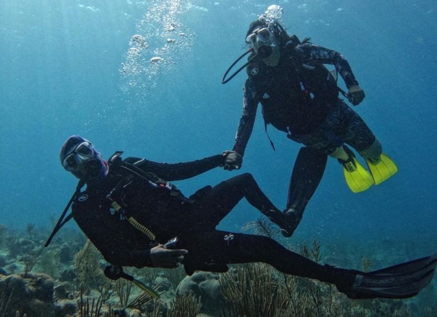 San Andrés Island: Personalized Mini Scuba Diving Course - Structure of the Course