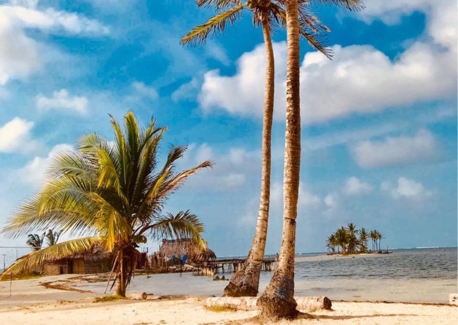 San Blas Day Tour: Explore the Top 3 Islands, From San Blas - Highlights of the Tour