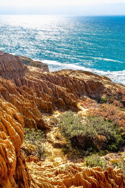 San Diego: Beaches & Bluffs Self-Guided Driving Tour - Pricing and Booking