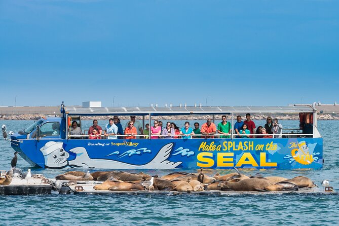 San Diego Shore Excursion: San Diego Seal Tour - Unique Tour Experience