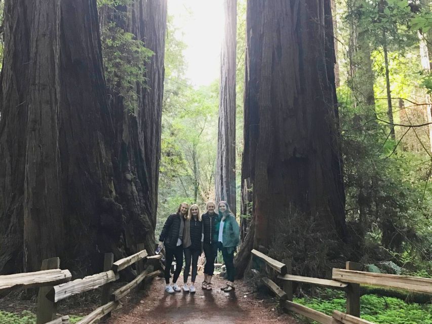 San Francisco Tour to Muir Woods Giant Redwoods & Sausalito - Picturesque Sausalito Waterfront