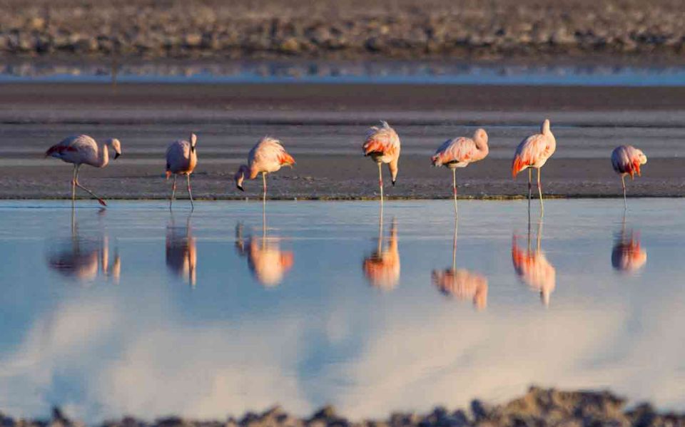 San Pedro De Atacama: the Tatio Geysers Tour - Detailed Itinerary