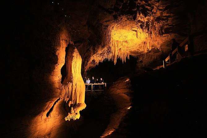 Sanctuary Mountain (Mt Maungatautari) & Waitomo Luxury Day Tour From Auckland - Sanctuary Mountain Experience