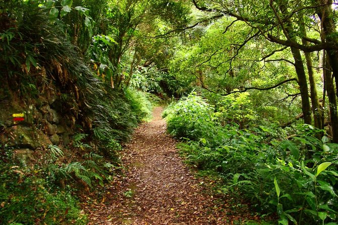 Sanguinho Hike From Ponta Delgada - Highlights of the Journey