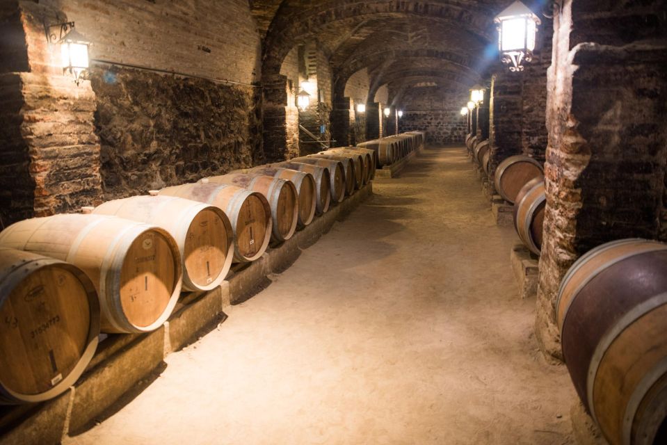 Santa Rita: Tour + Premium Wine Tasting + Private Transport - Transportation Details