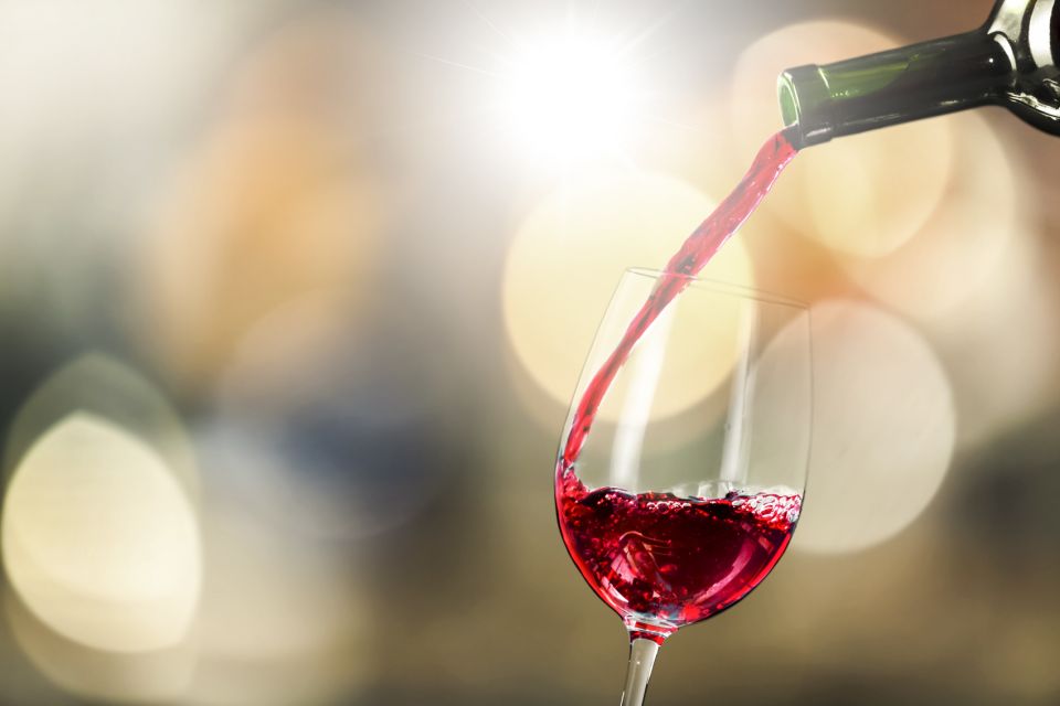 Santiago: Main Chilean Wineries Private Half-Day Tours - Featured Wineries