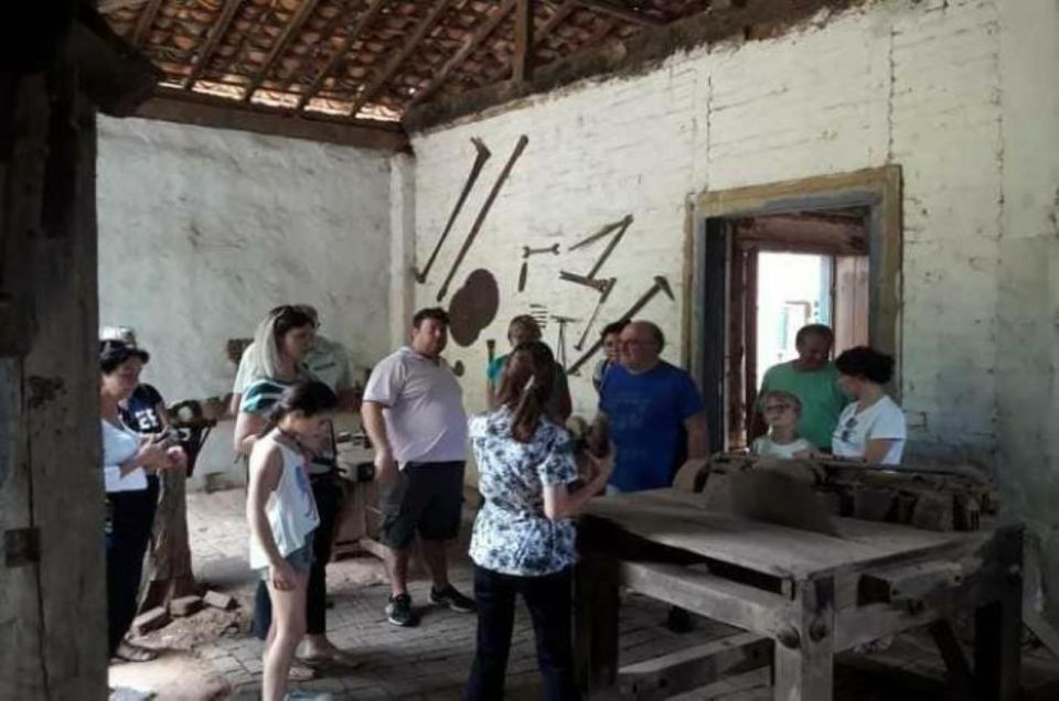 Sao Paulo: Coffee & Cheese Farm Tour With Breakfast & Lunch - The Coffee Farm Experience