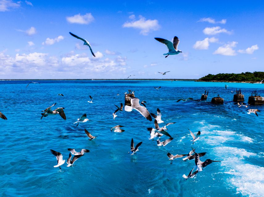 Saona Island Day Trip + Lunch + Open Bar From Punta Cana - Itinerary and Inclusions