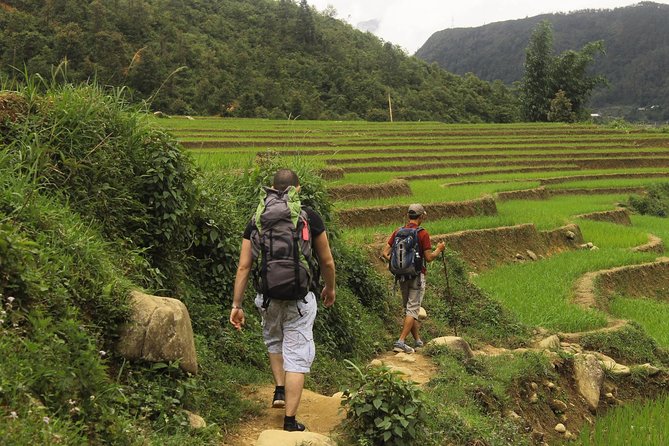 Sapa: 2-Day Homestay Trekking Tour - Pickup and Meeting