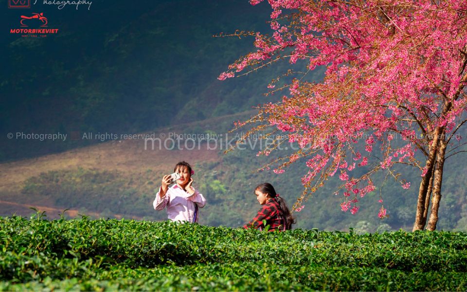 Sapa 2 Days 1 Night - Classic Hikking Tour - Itinerary Highlights