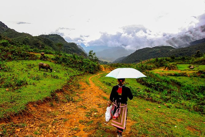 Sapa Easy Trekking Tour 1 Day - Rice Paddies and Cultures - Inclusions and Exclusions