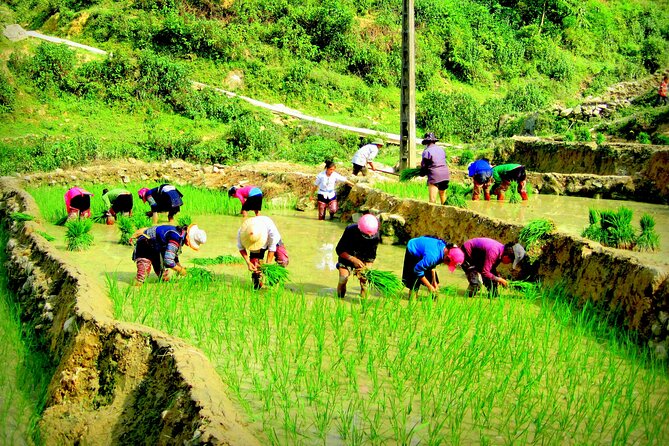 Sapa Hmong Family Trekking Adventures - Inclusions and Meal Options