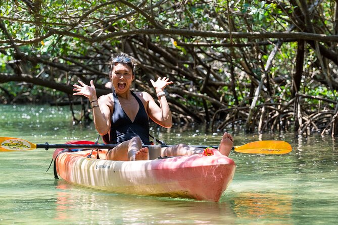 Sarasota Mangrove Tunnel Guided Kayak Adventure - Kayaking Basics and Equipment