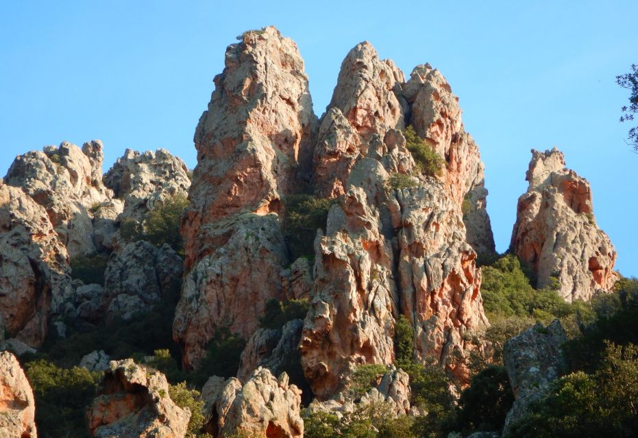 Sardinia, Monte Ruiu: Punta Manna Ring Hiking Guided Tour - Meeting Point Information