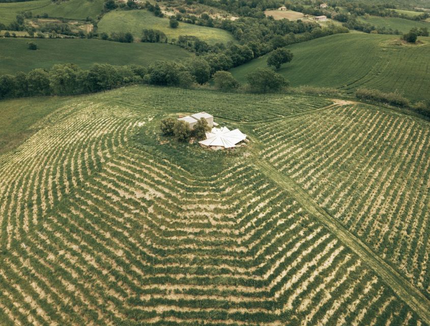 Saturnia: La Maliosa Winery Picnic at Sunset - Scenic Location and Views