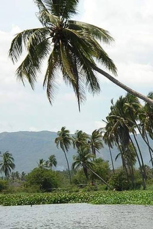 Scenic Coyuca Lagoon Day Trip From Acapulco - Highlights of the Day Trip