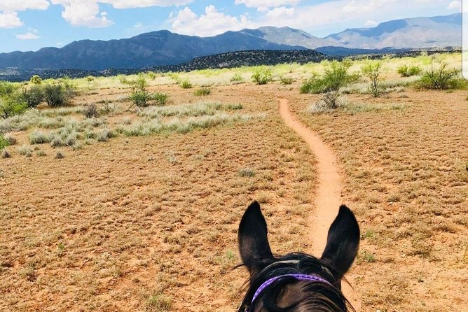 Scenic Horseback Adventure - Meeting Point Details