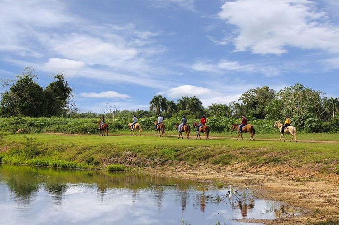 Scenic Horseback Riding Tour From San Juan - Riding Experience