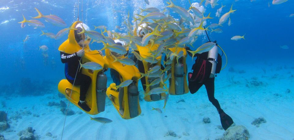 Scoba Doo Discover the Underwater Wonders of Punta Cana - Innovative Scobadoo Snorkeling Equipment