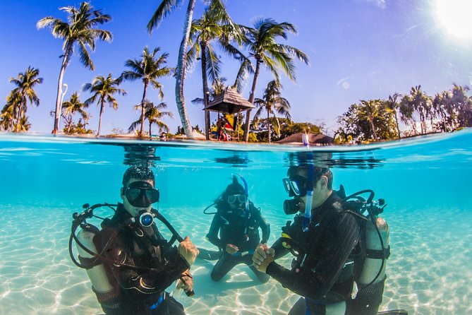 Scuba Diver Course (PADI) - Meeting and End Points