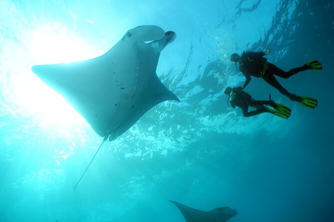 Scuba Diving 3 Dives Including Manta Rays at Nusa Penida - Dive Package Details