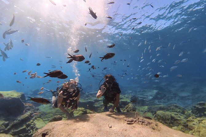 Scuba Diving Experience + Free Video - Future Diving Opportunities