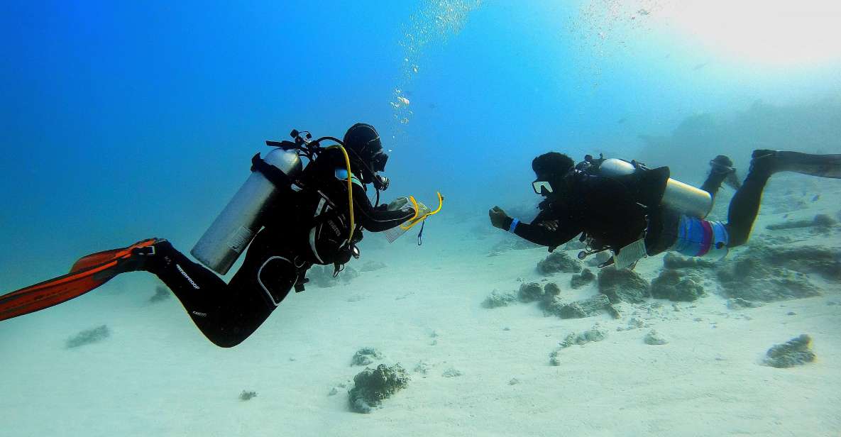 Scuba Diving Experience in Porto Cesareo - Itinerary