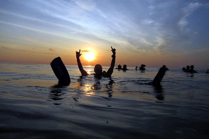 Scuba Diving Kata Beach Night Dive for Certified Divers - Equipment and Rental Options