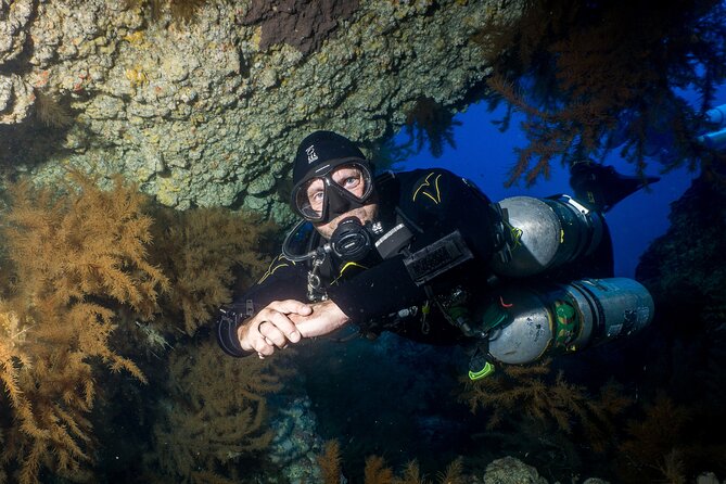 Scuba Diving Multi Dives in Playa De La Americas - Location and Dive Sites