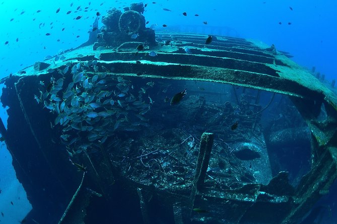 Scuba Diving - Equipment Needed for Diving