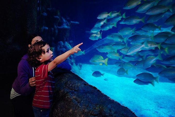 SEA LIFE Blackpool Admission Ticket - Accessing the Venue