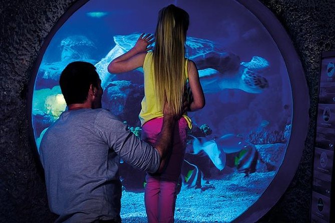 SEA LIFE Manchester Admission Ticket - Exploring the Aquarium Exhibitions