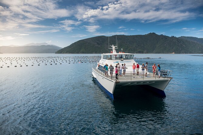 Seafood Odyssea Marlborough Sounds Cruise From Picton - Scenic Journey Highlights