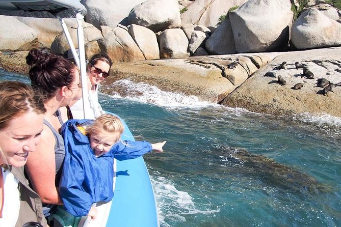 Seal Island Boat Tour From Victor Harbor - Wildlife Sightings
