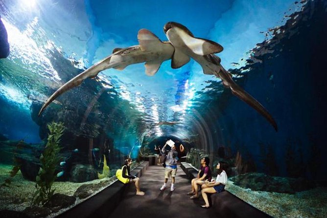 Sealife Bangkok + Madame Tussauds Bangkok - Booking Your Tickets