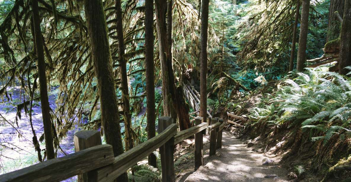 Seattle And Olympic NP Self-Guided Audio Bundle Tour - Seattle Tour Highlights