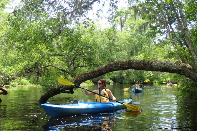 Self Guided Family Friendly Kayak Rental Experience Old Florida - Whats Included in Your Rental